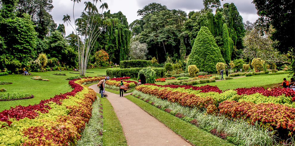 Peridenya-Gardens-kandy-003- Looksrilanka